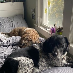 Meet your Posher, Helen